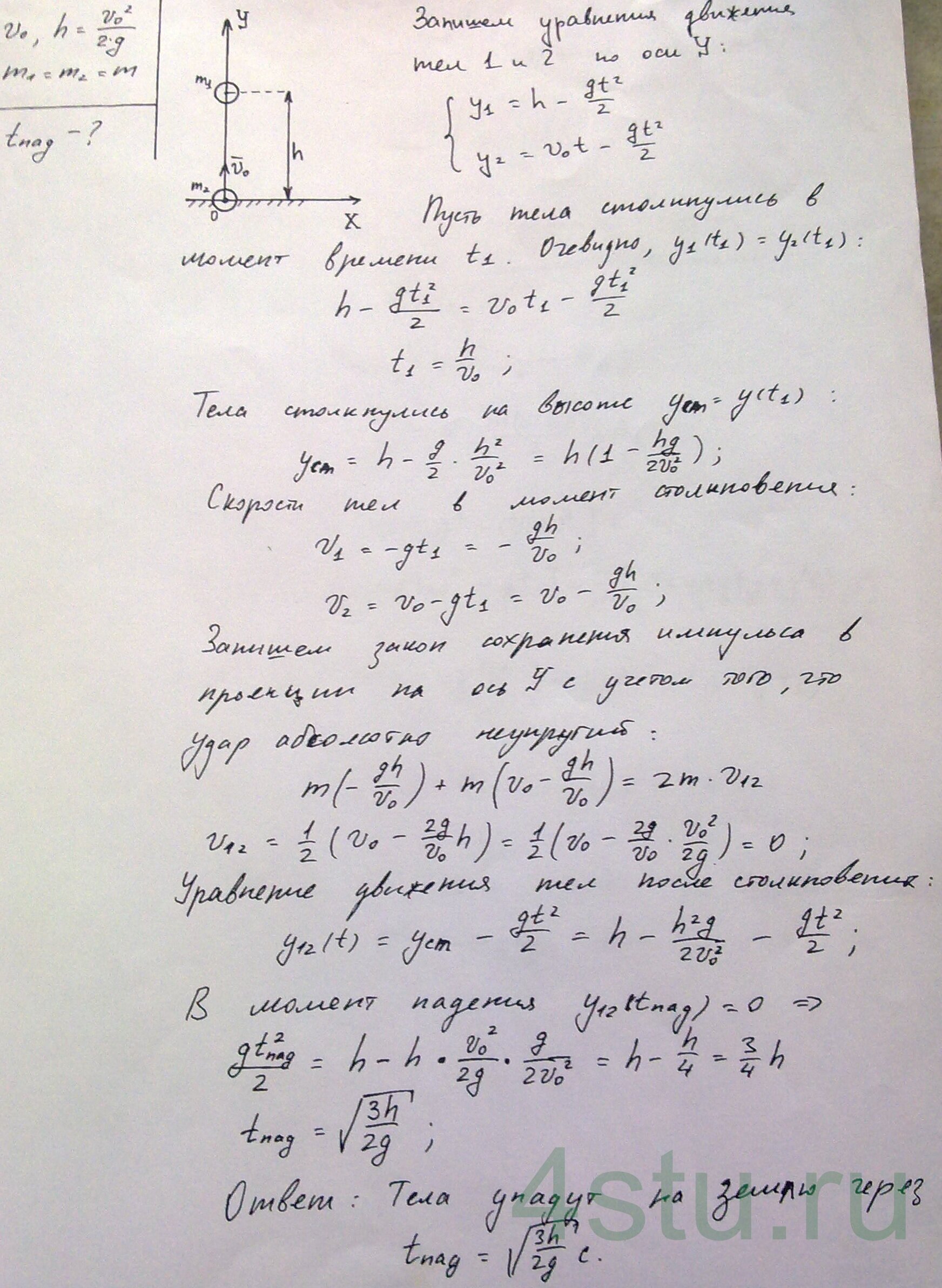 Решение: № 3.50